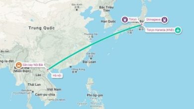 Việt nam cách nhật bản bao nhiêu km